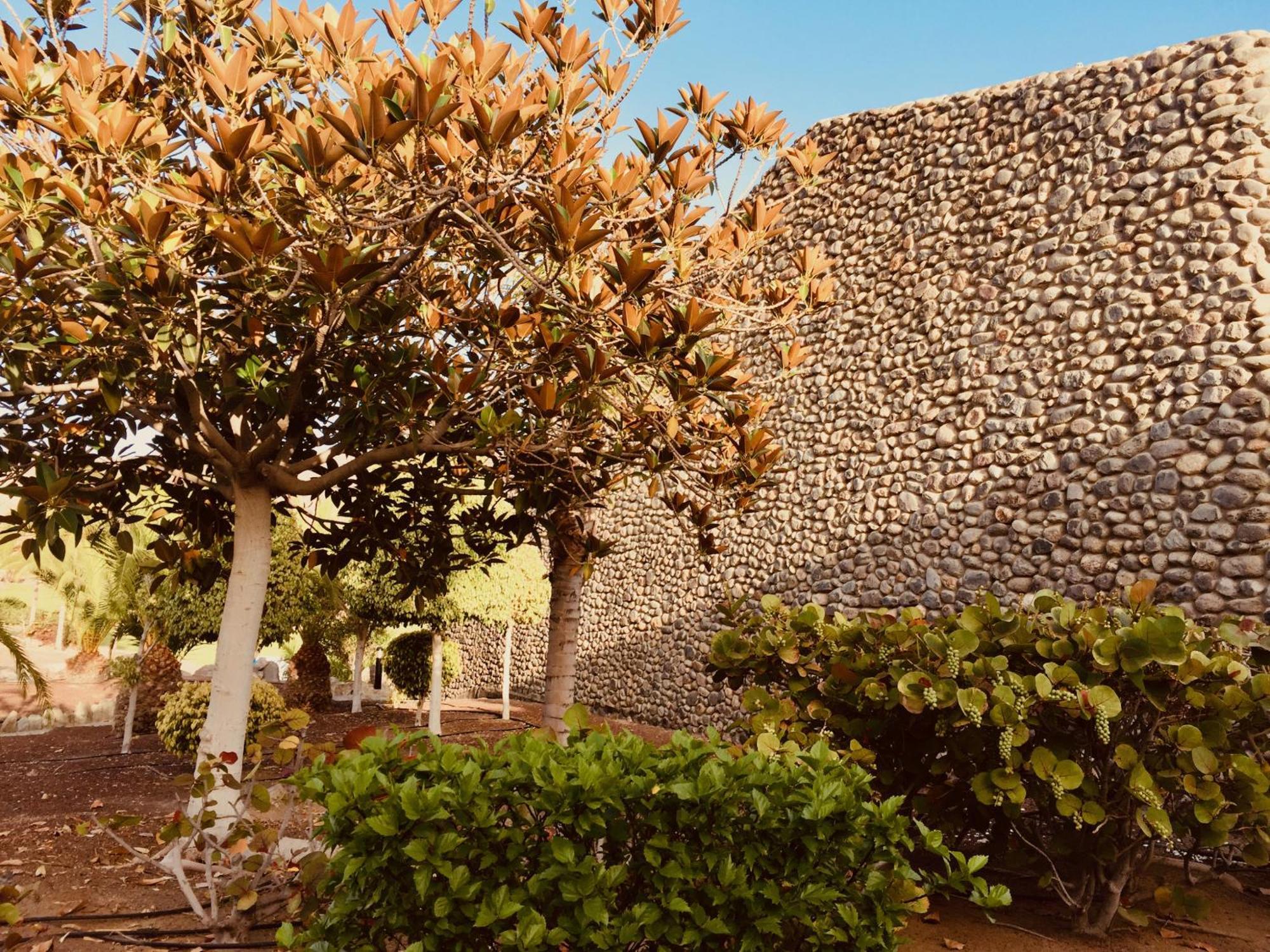 M&F Golf Views. Walk To Beach La Playa de Tauro Extérieur photo